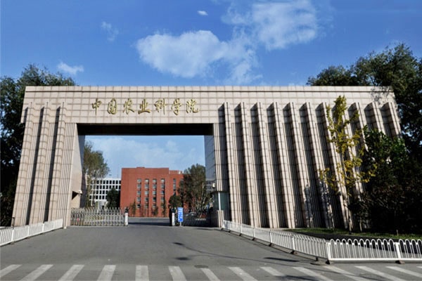 1628841020876406.jpg 2-min.jpg