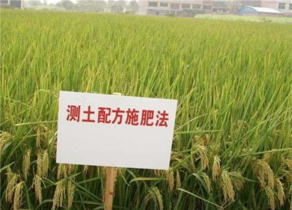 HM詳解土壤養(yǎng)分速測儀怎么用？