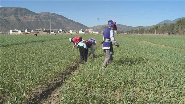 HM詳解土壤養(yǎng)分速測儀怎么用？