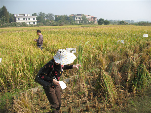 HM詳解土壤養(yǎng)分速測儀怎么用？