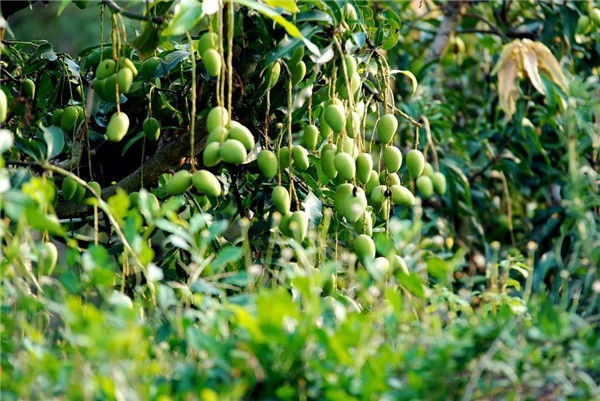 1552367336971034.jpg 088936793b1d32b222185cc26c6a112f.jpg