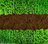 土壤水分儀的原理，土壤水分測定儀分析功能怎么樣？