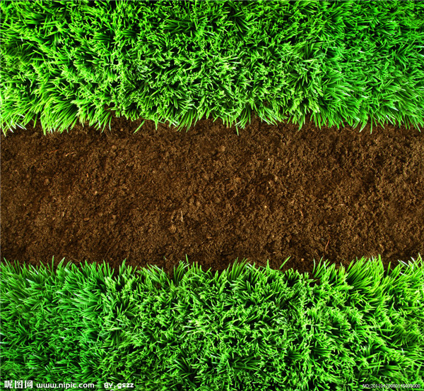 1552372664707271.jpg 8c94a5f10cd899f5e87b7542fc87ca85.jpg