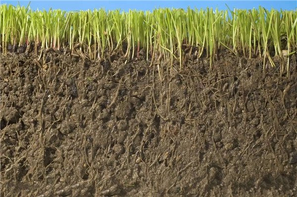 1552372676508701.jpg 0090a2f70ed33a5c933ebc56f777ffb2.jpg