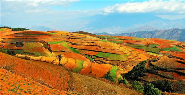 土壤養(yǎng)分檢測儀都有哪些特點功能 土壤養(yǎng)分檢測儀都有哪些特點功能