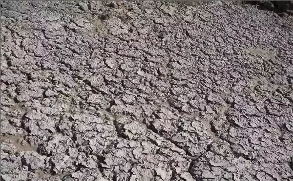 自動氣象站既能監測環境也可以計算制定改善方案 自動氣象站既能監測環境也可以計算制定改善方案