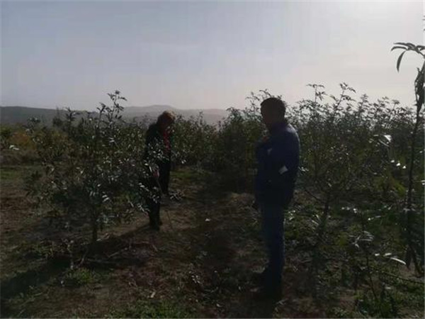 如何土壤檢測儀讓土壤變酸？