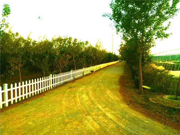 土壤養分測定儀分析土壤養分的科學供應 土壤養分測定儀分析土壤養分的科學供應