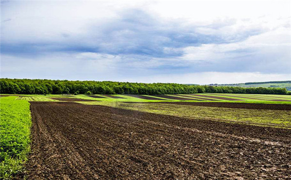 土壤養分測定儀分析土壤養分的科學供應 土壤養分測定儀分析土壤養分的科學供應