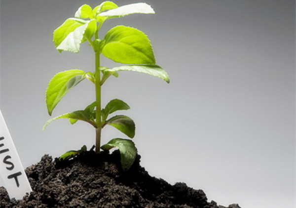 土壤測試儀分析不同尺度土壤養(yǎng)分的空間變異性 土壤測試儀分析不同尺度土壤養(yǎng)分的空間變異性