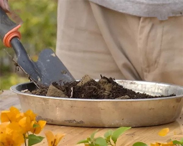 土壤養分分析不同方法的比較 土壤養分分析不同方法的比較