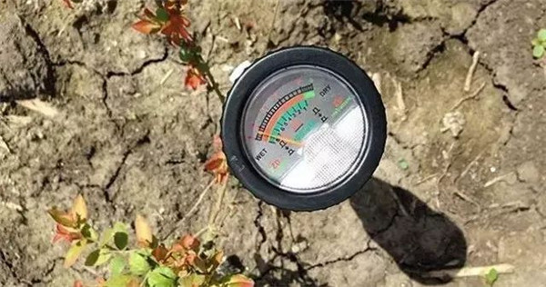 土壤養(yǎng)分分析儀測(cè)量土壤有效養(yǎng)分并建議施肥量 土壤養(yǎng)分分析儀測(cè)量土壤有效養(yǎng)分并建議施肥量