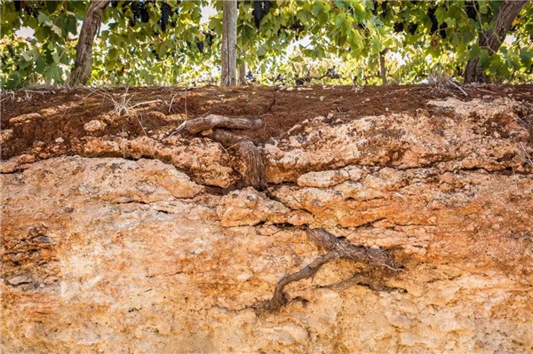 農業諺語“立春至肥”這意味著當節氣來到春天的開始 農業諺語“立春至肥”這意味著當節氣來到春天的開始