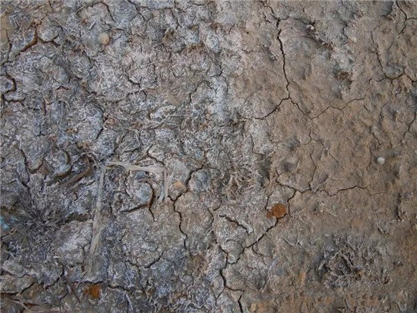 土壤養(yǎng)分快速測定儀分析土地利用方式與土壤質量的關系 土壤養(yǎng)分快速測定儀分析土地利用方式與土壤質量的關系