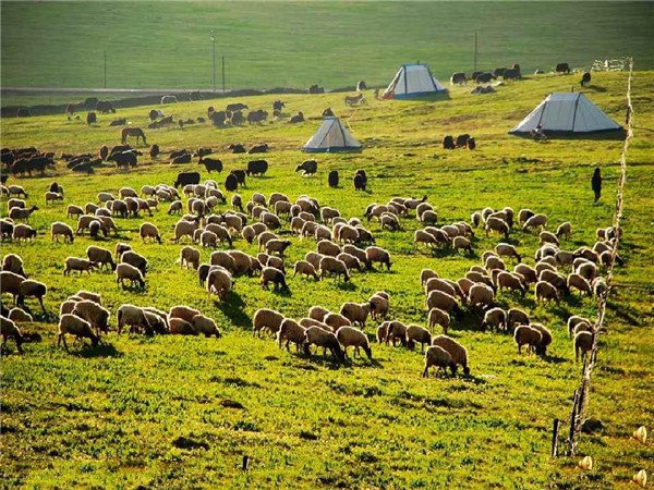土壤養(yǎng)分快速測定儀在空間分析中的應(yīng)用 土壤養(yǎng)分快速測定儀在空間分析中的應(yīng)用