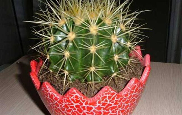 土壤溫度測量儀有哪些更好的原理和技術(shù)？