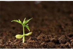 土壤養(yǎng)分檢測儀工作原理、技術(shù)和方法