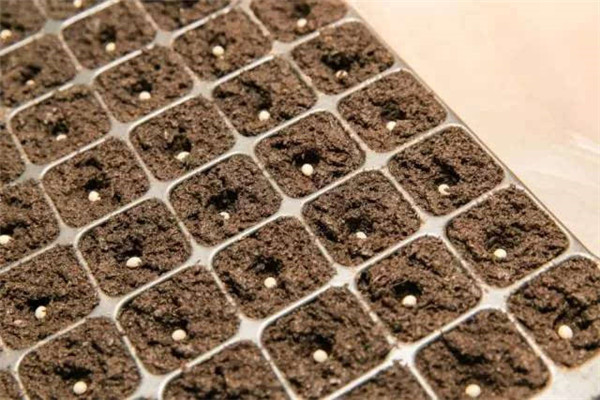 土壤養(yǎng)分檢測儀制造商的價格和原理技術(shù)輕便 土壤養(yǎng)分檢測儀制造商的價格和原理技術(shù)輕便