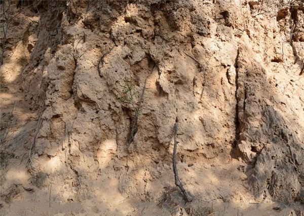 土壤分析儀中有機(jī)物的原理、技術(shù)和功能