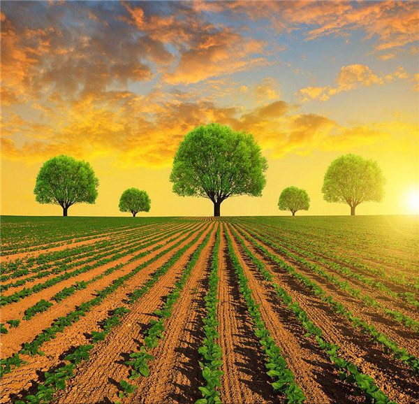 壤養分檢測儀:制造商原價和基本原理技術它經久耐用 壤養分檢測儀:制造商原價和基本原理技術它經久耐用