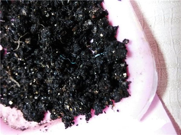 土壤養分測試儀的基本原理、技術和功能