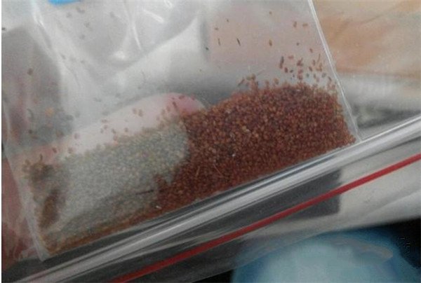 土壤養分測試儀的基本原理、技術和功能