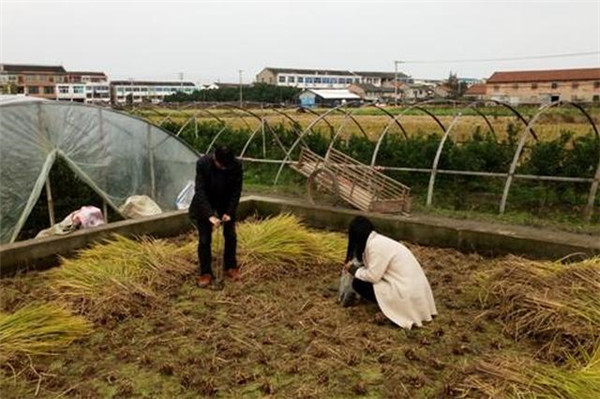 土壤養(yǎng)分檢測(cè)儀有哪些特殊功能和效果 土壤養(yǎng)分檢測(cè)儀有哪些特殊功能和效果