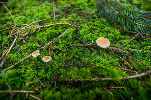 便攜式土壤水分快速測定儀在現(xiàn)代農(nóng)業(yè)中的作用 便攜式土壤水分快速測定儀在現(xiàn)代農(nóng)業(yè)中的作用