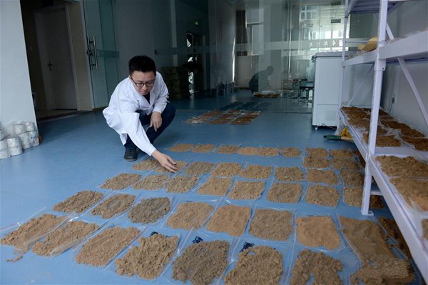 果樹的光合作用與土壤水分有什么關(guān)系？