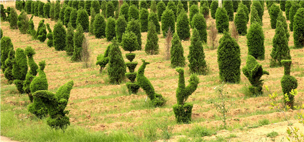 土壤養(yǎng)分檢測(cè)器?；緲?biāo)準(zhǔn)和操作方法