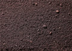 土壤水分測定儀的原理、技術(shù)和功能