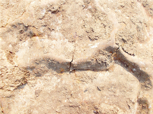 土壤養分檢測儀的工作原理及應用形式 土壤養分檢測儀的工作原理及應用形式