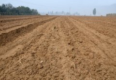 如何用土壤PH測(cè)試儀測(cè)量土壤酸堿度