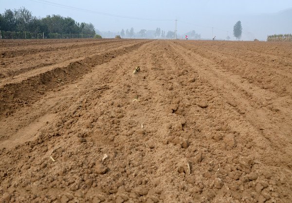 如何用土壤PH測試儀測量土壤酸堿度 如何用土壤PH測試儀測量土壤酸堿度