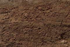 土壤養(yǎng)分快速測定儀哪個(gè)好？理論值得信賴