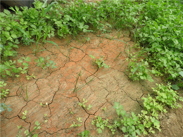 dm土壤團(tuán)粒分析儀實(shí)驗(yàn)技術(shù)的發(fā)展和實(shí)驗(yàn)設(shè)備的更新 dm土壤團(tuán)粒分析儀實(shí)驗(yàn)技術(shù)的發(fā)展和實(shí)驗(yàn)設(shè)備的更新