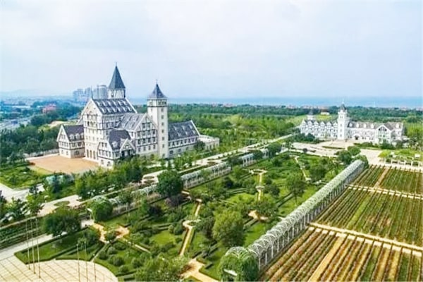 1629183183349130.jpg 1-min.jpg